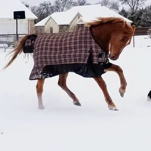 Meet your Posher, Yvonne